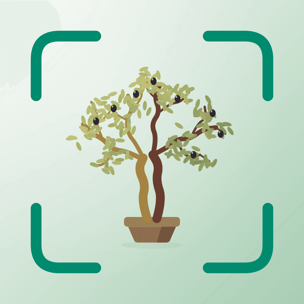 Plantify app icon